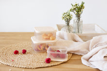 Lade das Bild in den Galerie-Viewer, SNACKBOXEN 3ER-SET - MIRACLE OF NATURE