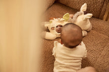 Lade das Bild in den Galerie-Viewer, AKTIVITÄTEN KUSCHELTIER - DONKEY DINKY
