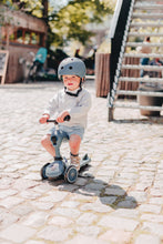 Lade das Bild in den Galerie-Viewer, HIGHWAYKICK 1 - FOREST
