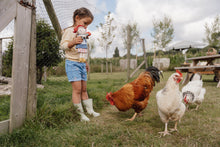 Lade das Bild in den Galerie-Viewer, KUSCHELPUPPE ROSA MIT SCHAF 35 CM - LITTLE FARM
