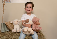 Lade das Bild in den Galerie-Viewer, KUSCHELTIER SCHWEIN - 25 CM / LITTLE FARM

