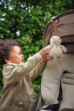 Lade das Bild in den Galerie-Viewer, KINDERWAGENANHÄNGER - SPRING GARDEN
